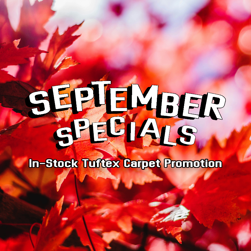 Young's interiors - September Specials 2025 Hero Banner Ad - 800x800